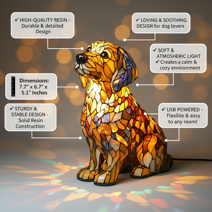 Buddy – strålande andlig golden retriever