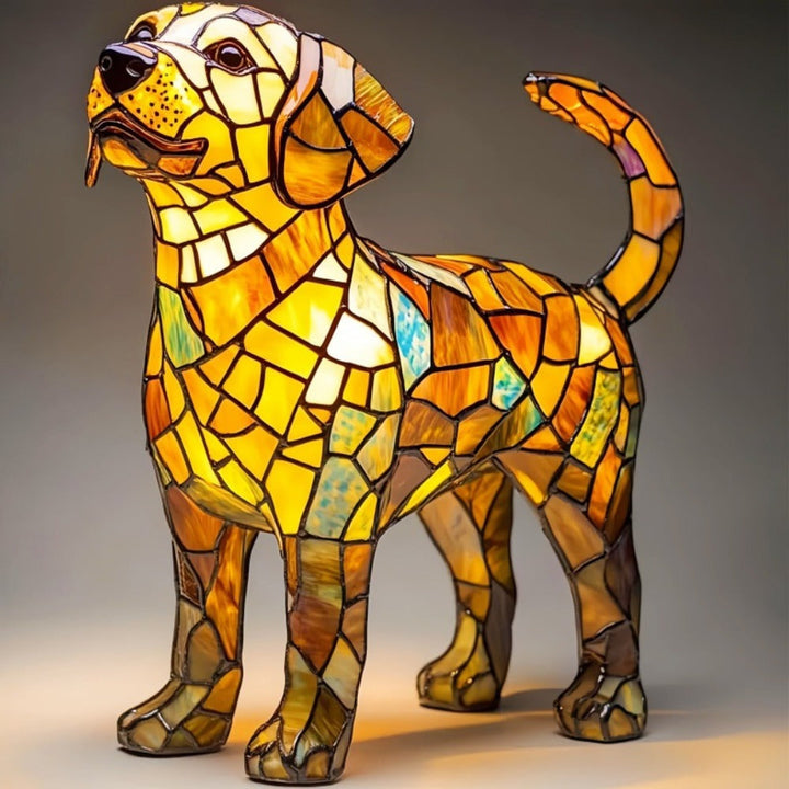 Transparent labrador